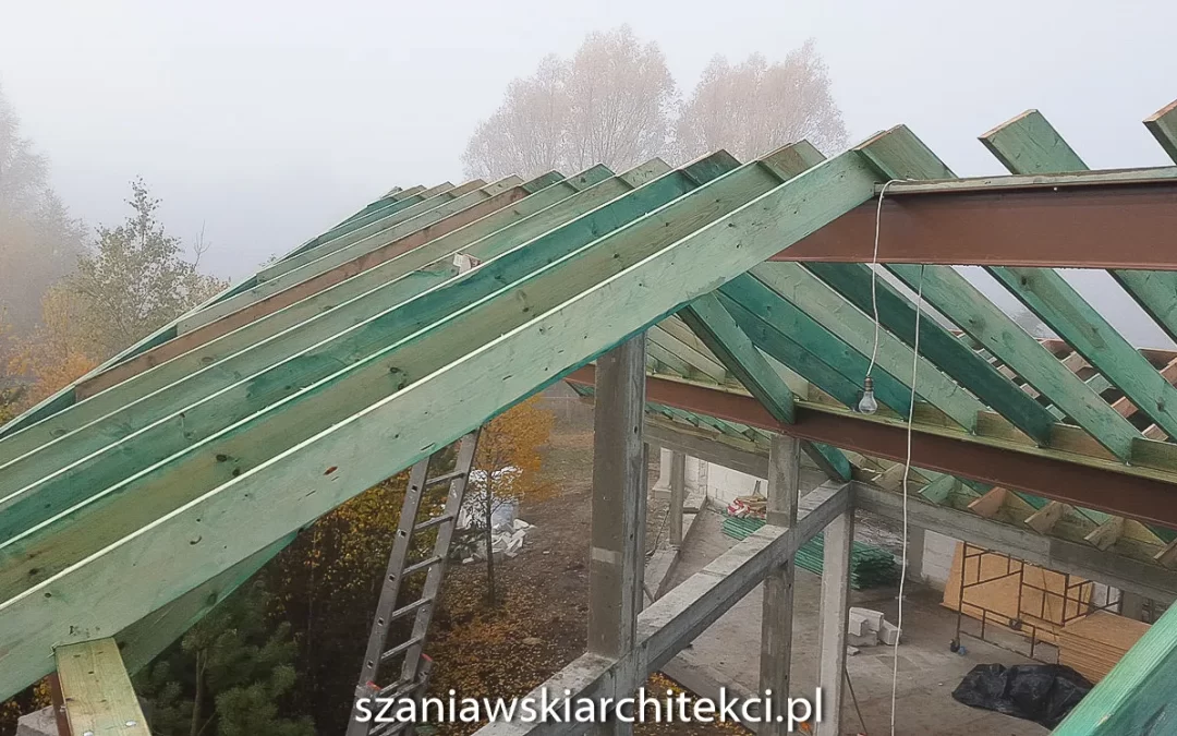 Czasem dom za duży